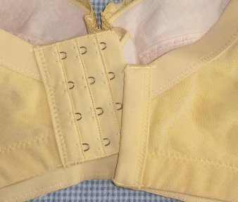Flourish Lace Essentials Padded Wired Bra - Image 7