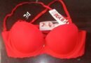 Flourish Perfect Lift Padded Wired Push-up Bra The romantic and graceful butterfly-shaped Imported Full comfortable girl Bra