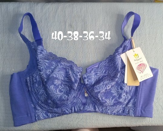 Flourish Lace Essentials Padded Wired Bra - Image 4